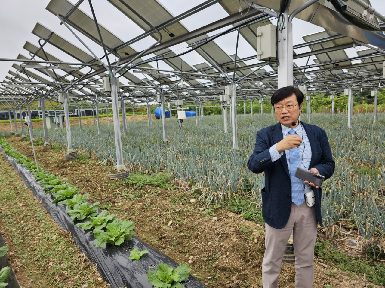 “농가 살리고 RE100 달성까지”…영농형 태양광이 설계하는 新경제 모델 [비즈360]