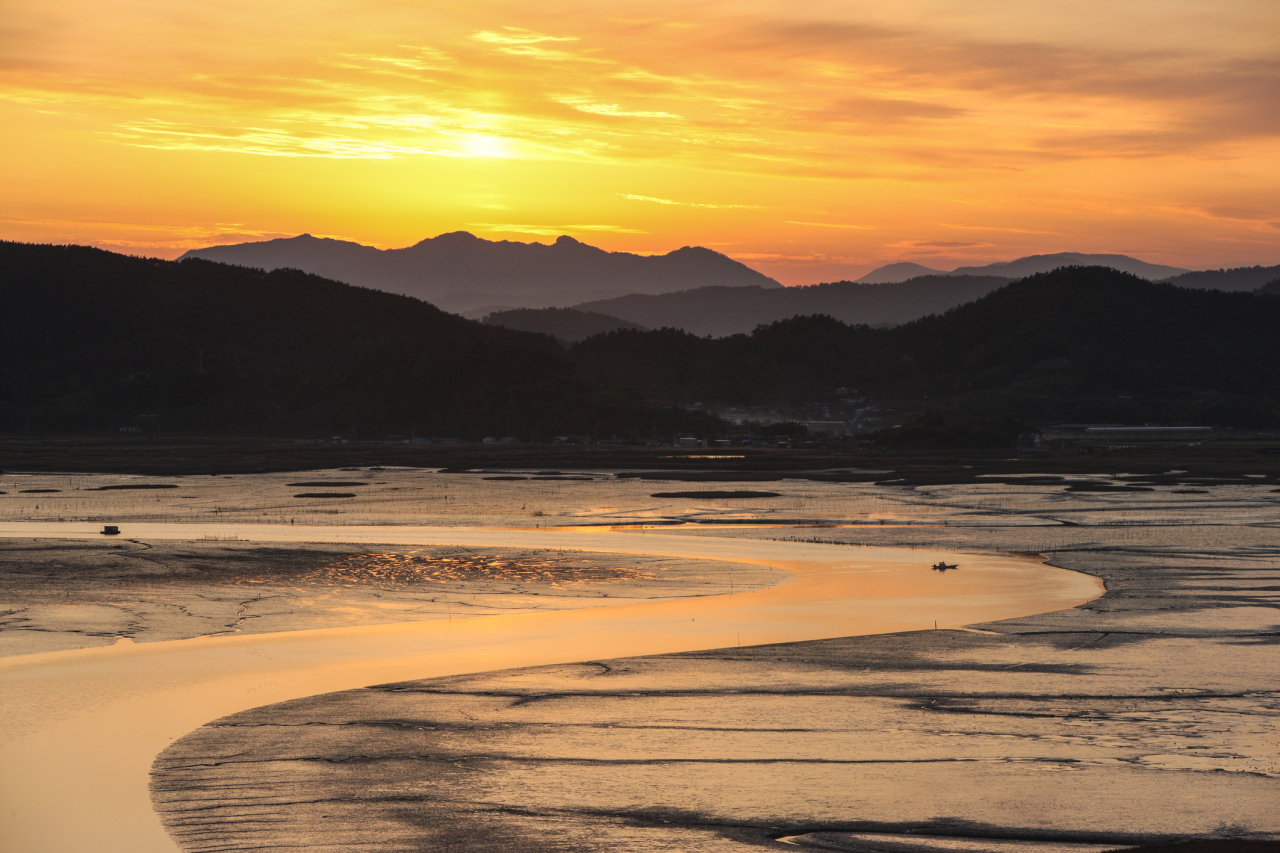 순천만