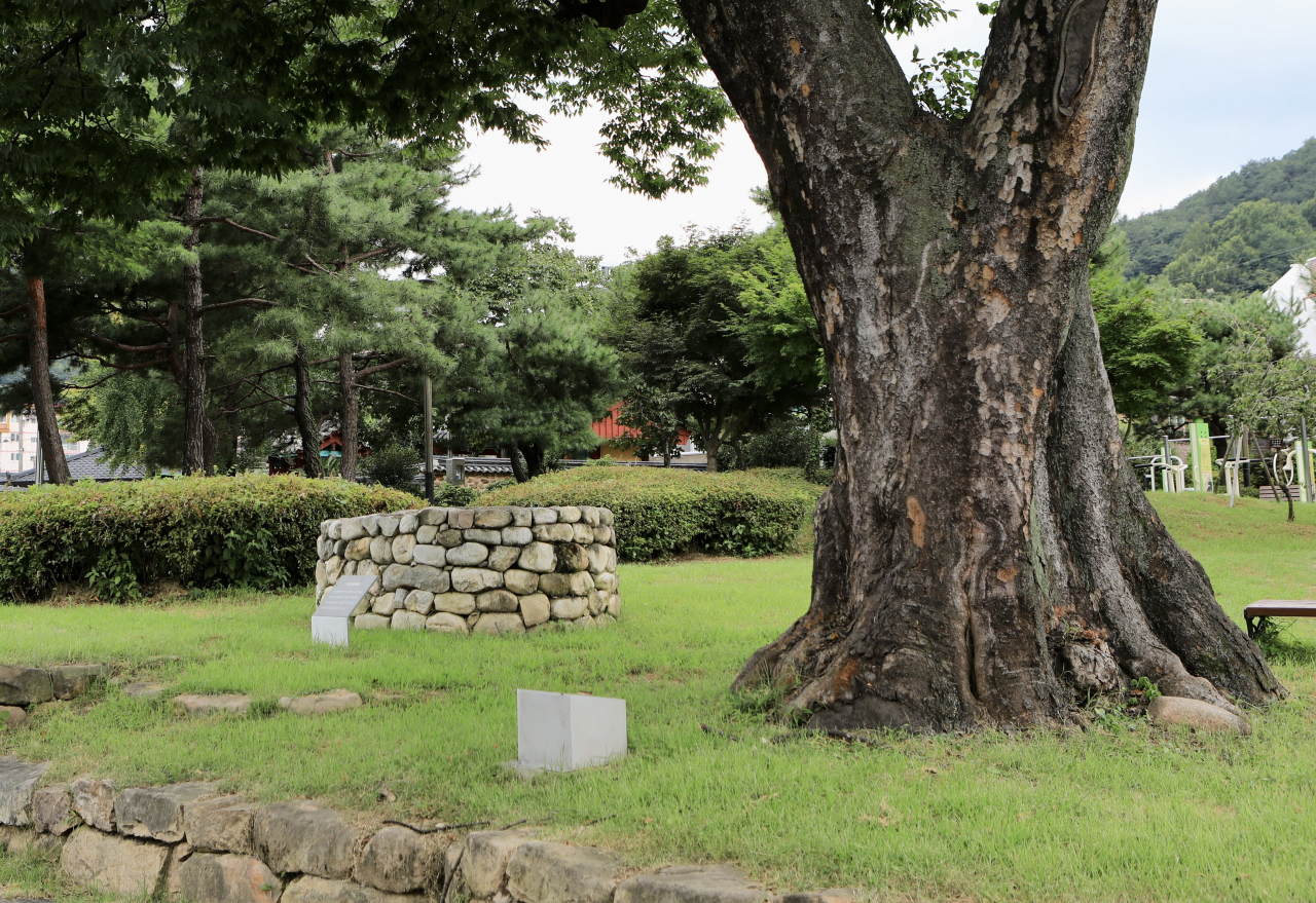순천 옥천서원 느티나무와 임청대