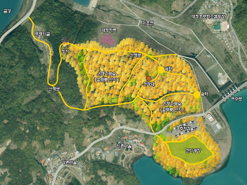 대청호 천년의 숲 조성예시도(대덕구 미호동 대청댐 여수로 유휴지 일원)