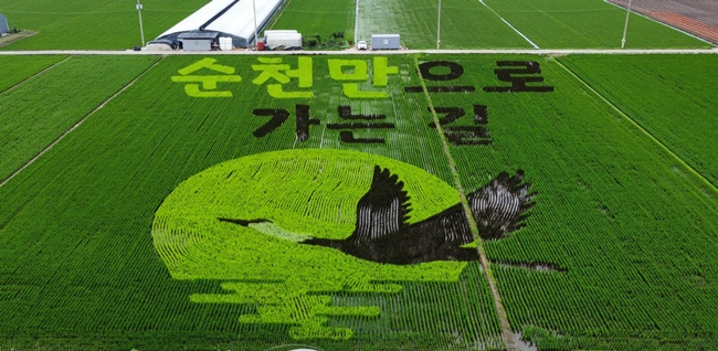 순천만습지 인근 농경지에 조성된 뜰아트 봄 풍경. [순천시 제공]