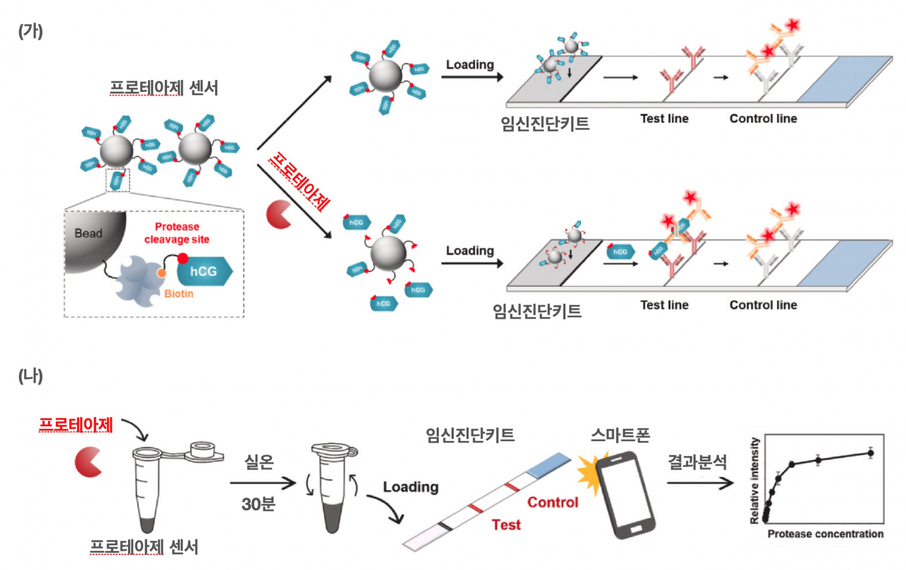[아주대 제공]