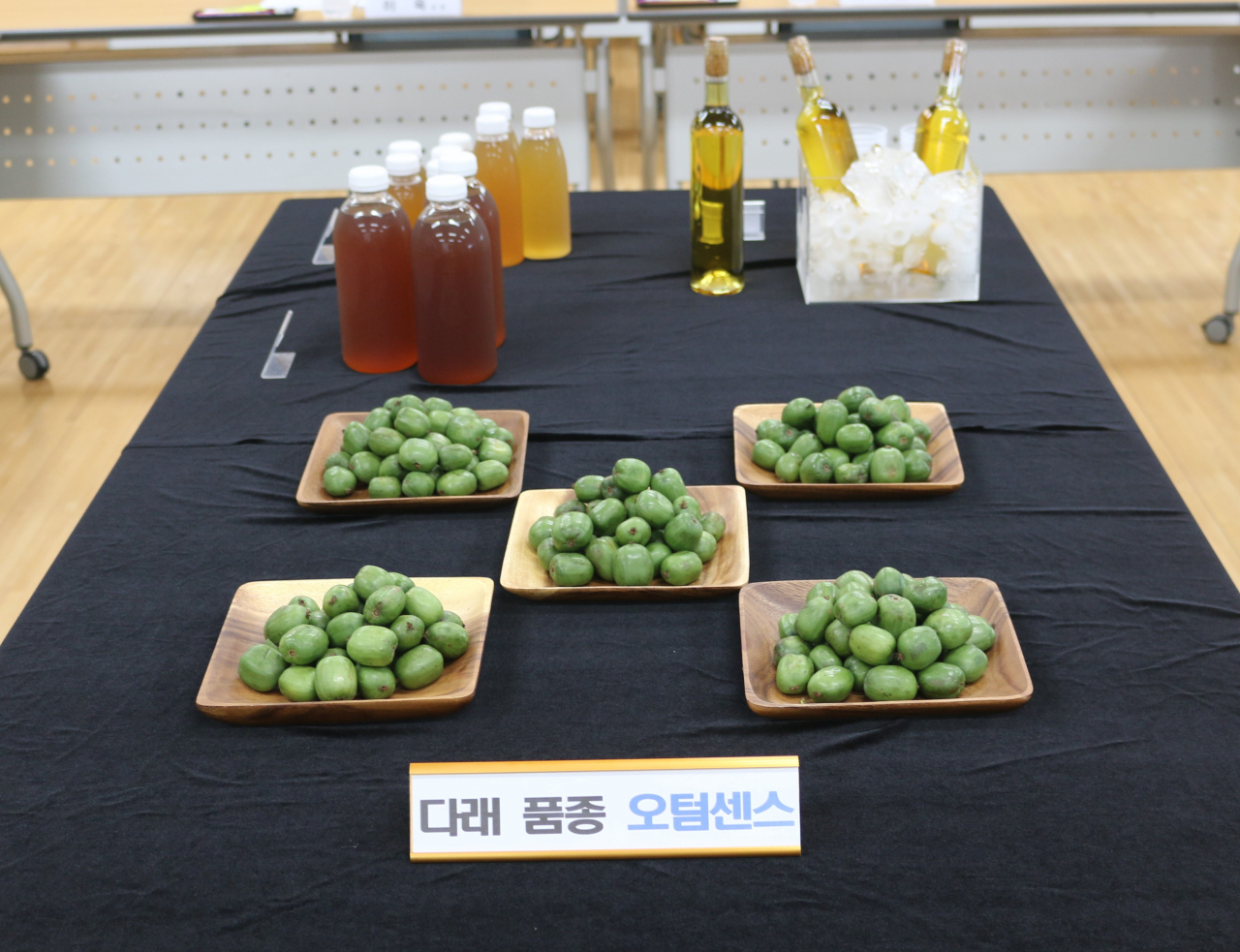 전남도산림자원 연구소는 기후변화 대응 대체 작목으로 토종다래 신품종의 우수성을 알리기 위해 세미나를 개최했다