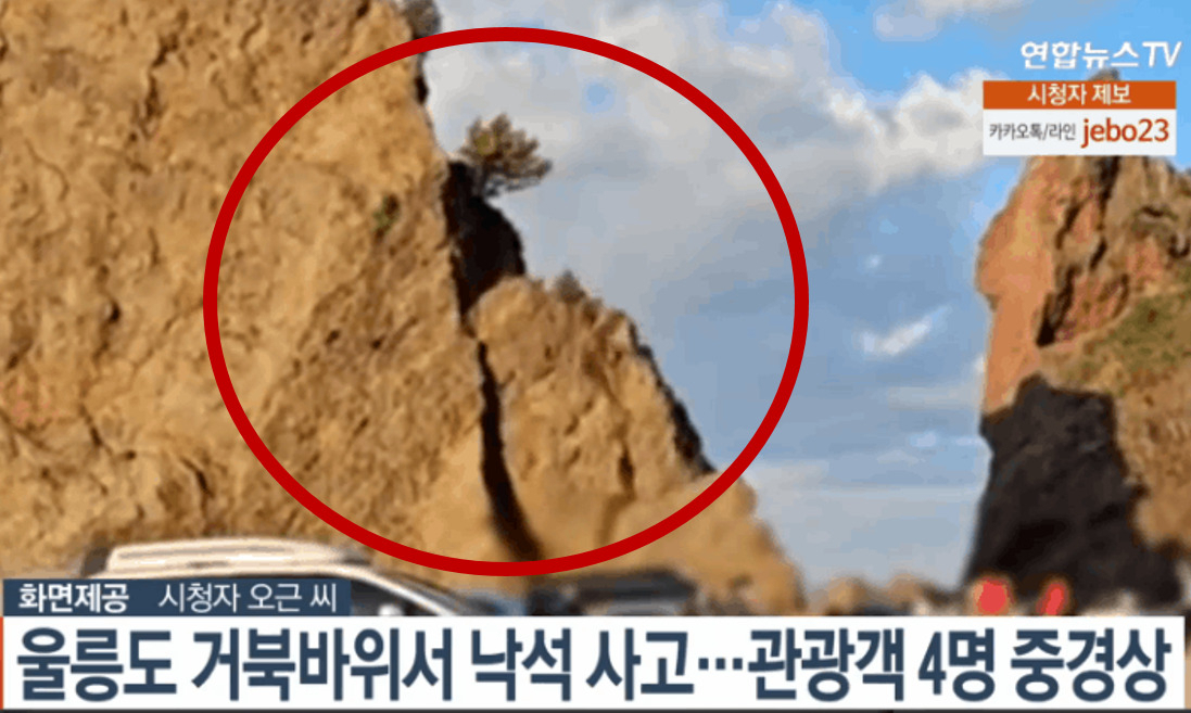[연합뉴스TV]