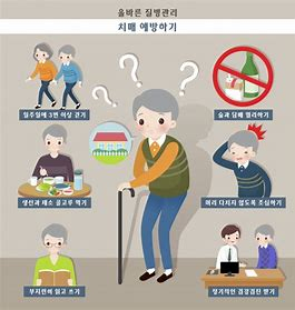 전남 치매유병별 전국서 가장높아