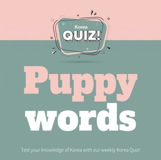 Puppy words