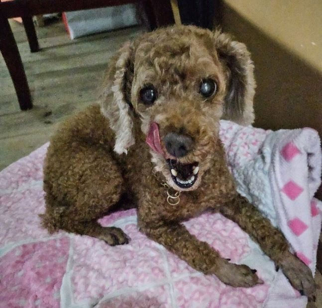 [온라인 커뮤니티 갈무리]