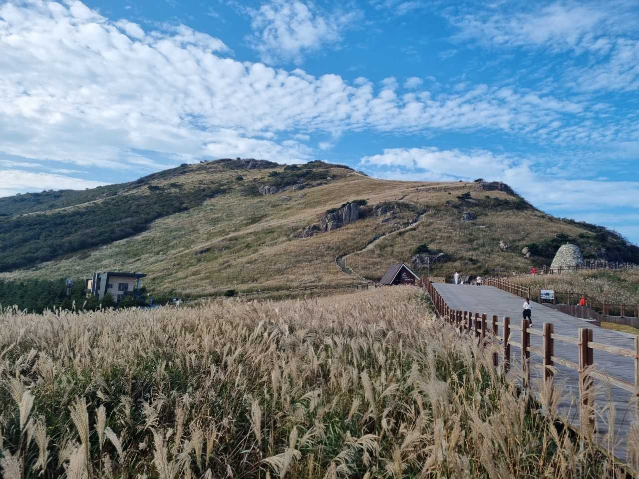 울산 울주군 신불산 억새숲. [사진=울주군]