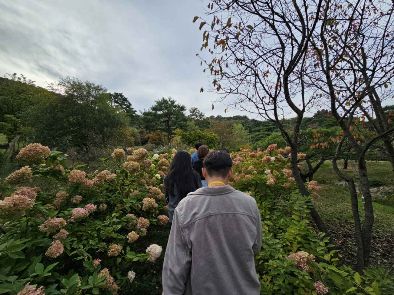 지난 6일 오후 경기도 용인 에버랜드 내 포레스트 캠프를 취재진이 걷는 모습. 김지헌 기자.