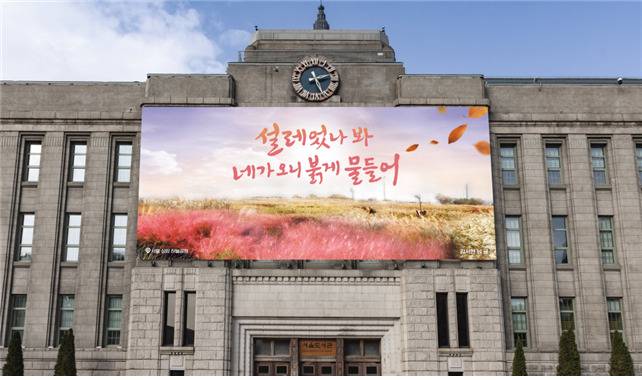 서울시가 가을을 맞이해 진행한 꿈새김판 문안 공모전 수상작 ‘설레었나봐, 네가 오니 붉게 물들어’가 서울도서관 외벽에 설치된 모습. [서울시 제공]