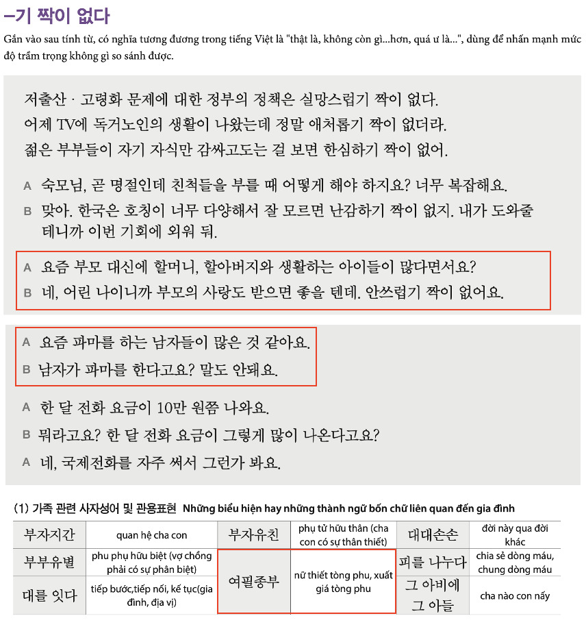 The phrases criticized as being discriminatory in the "Comprehensive Korean for Vietnamese Nationals" textbook are outlined in red. (The Korea Foundation)