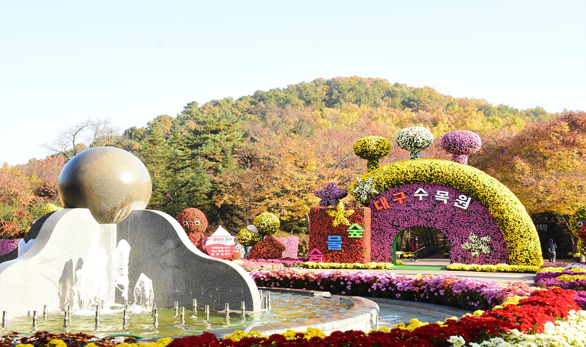 2022년 국화전시회 모습.[대구수목원 제공]