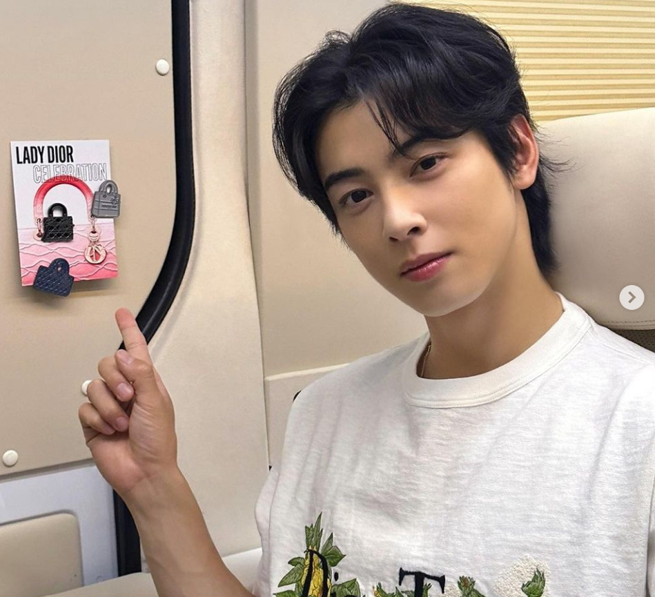 차은우
