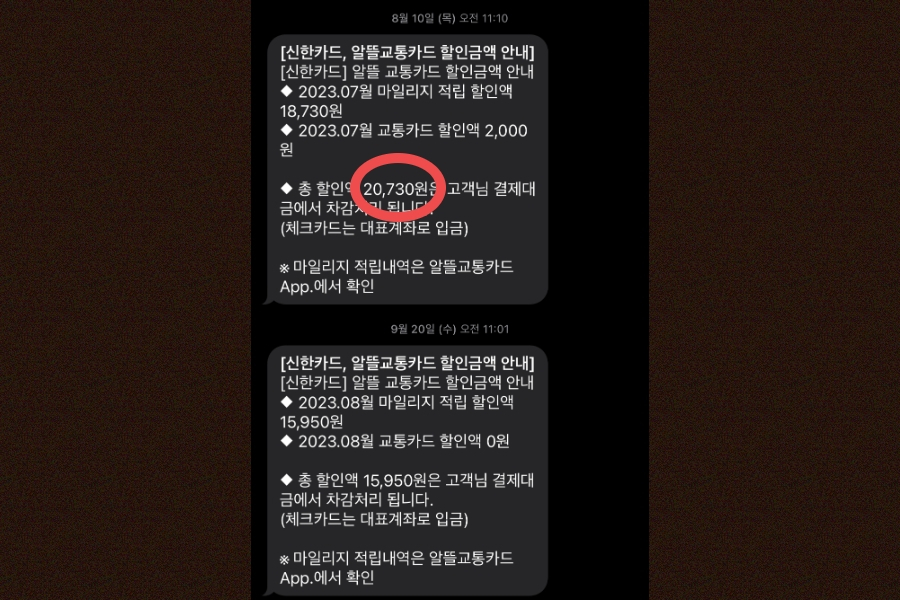 알뜰교통카드를 통해 교통카드 결제 대금 할인 내역. [독자 제공]