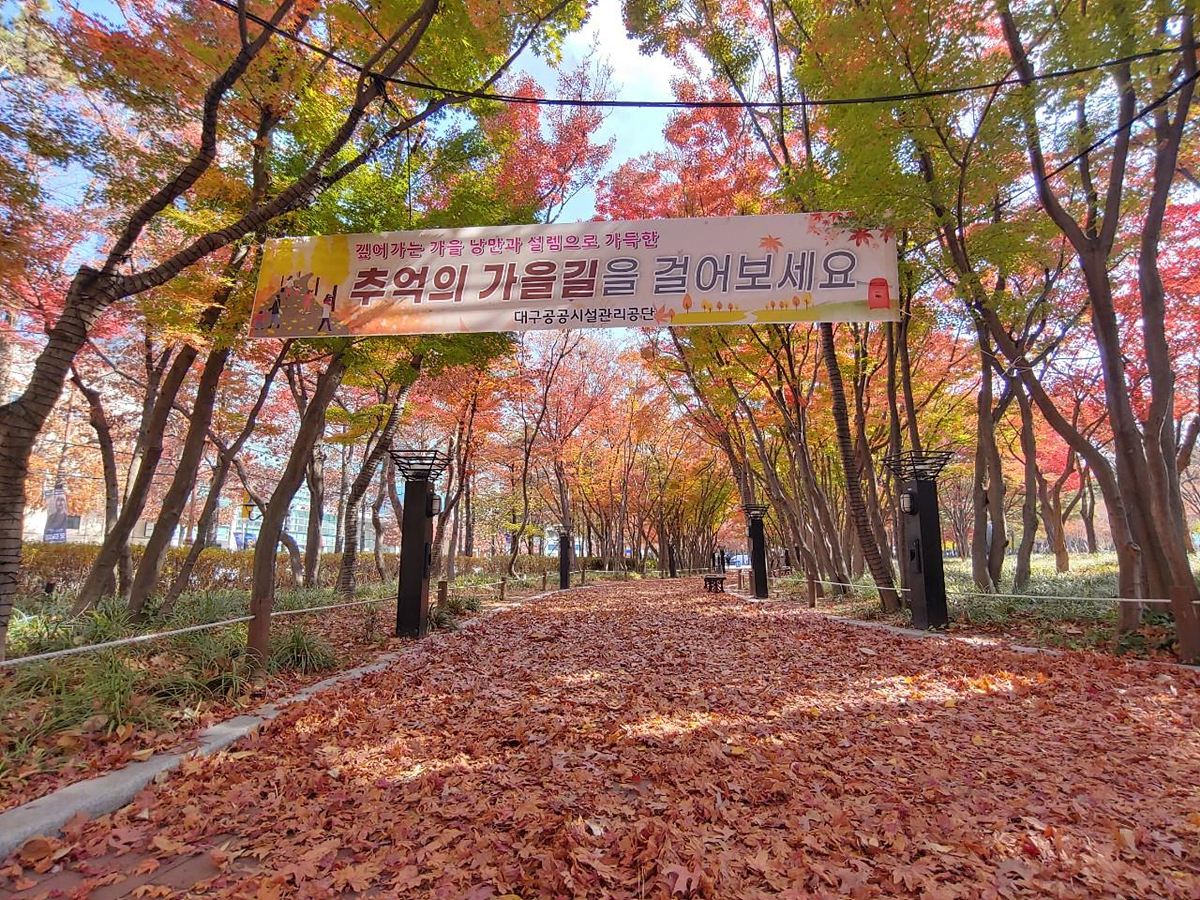 2022년 국채보상운동기념공원 단풍 모습.[대구시 제공]