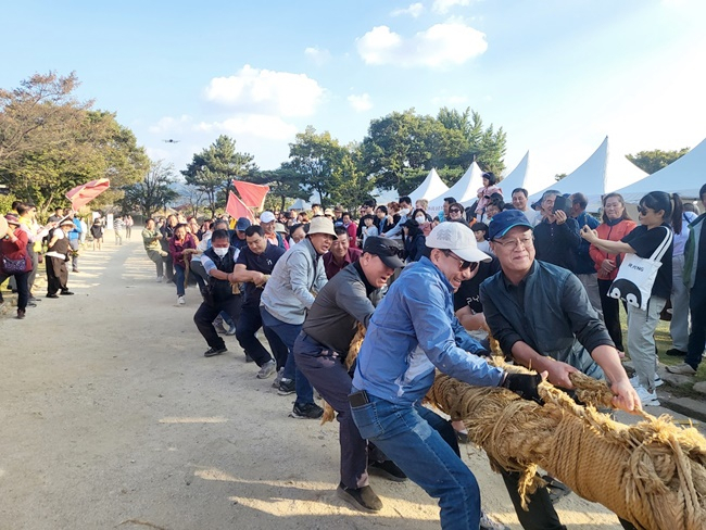 낙안읍성 축제 기간 큰줄다리기 장면.