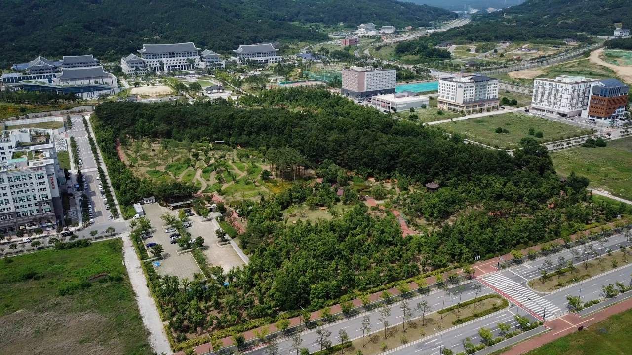 경북도청 신도시 천년숲 전경.[경북도 제공]