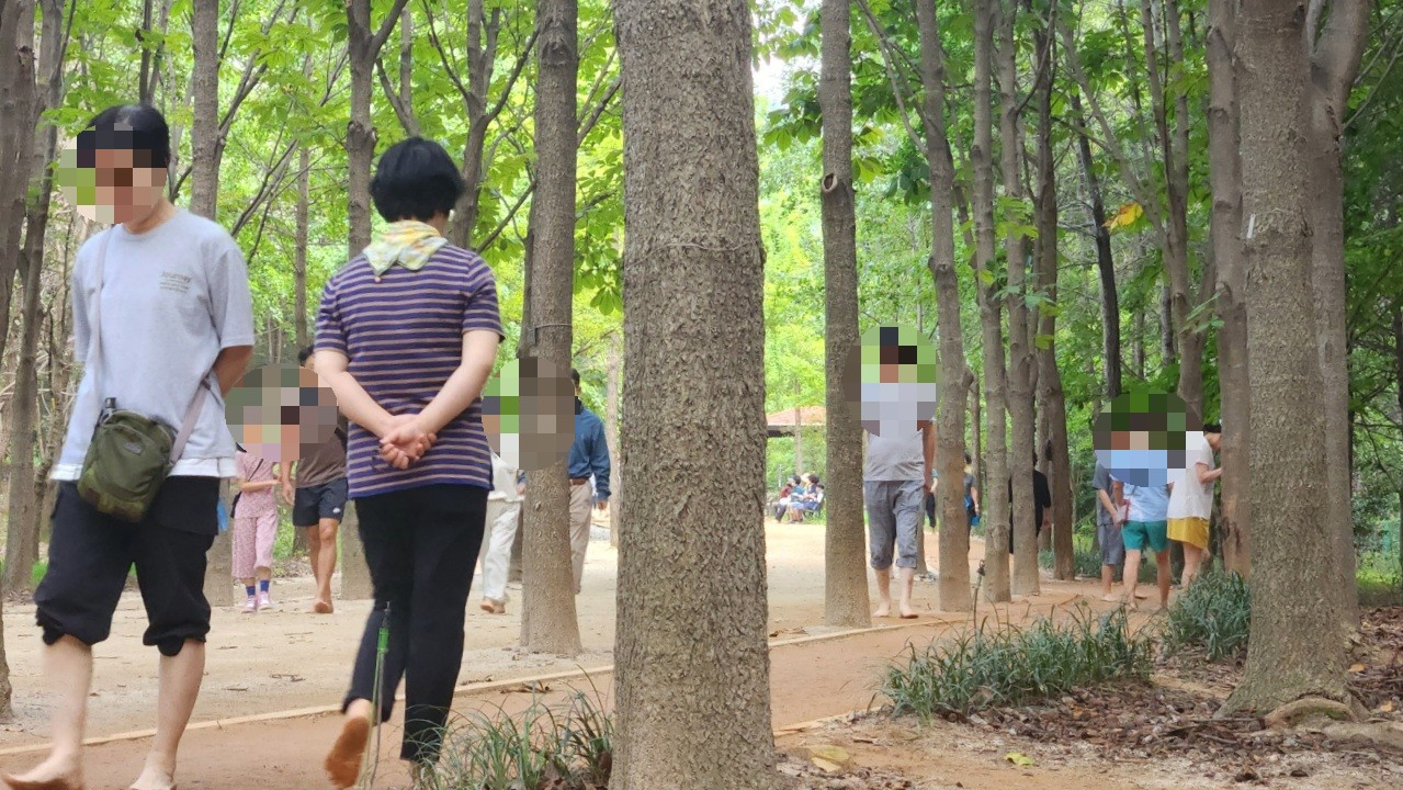 최근 대구수목원에서 시민이 맨발 걷기 체험을 하고 있다. [헤럴드DB]