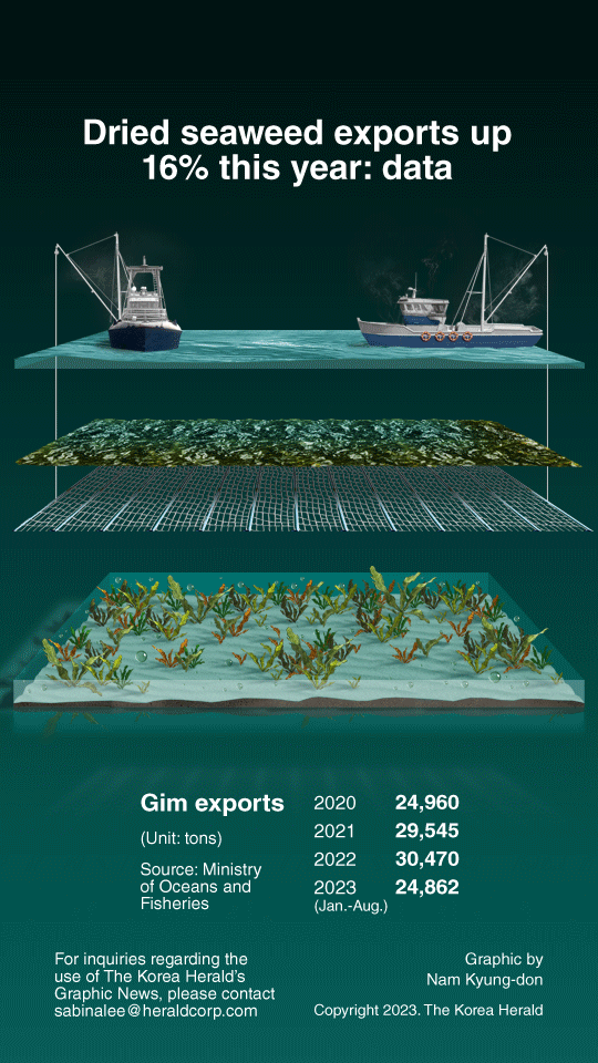 graphic-news-dried-seaweed-exports-up-16-this-year-data-the-korea