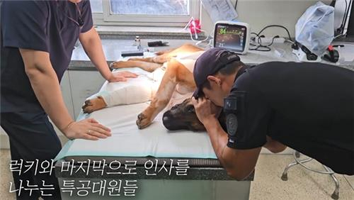 [대전경찰청 제공]