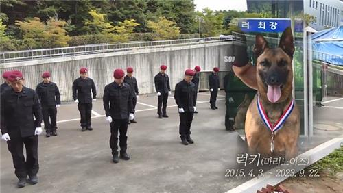 [대전경찰청 제공]