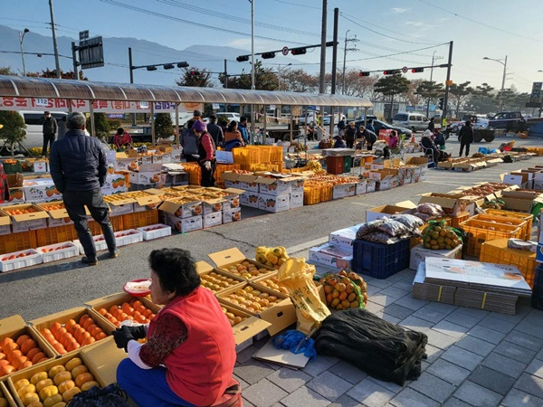 지난 해 열린 구례군 감 직거래장터 자료 사진.