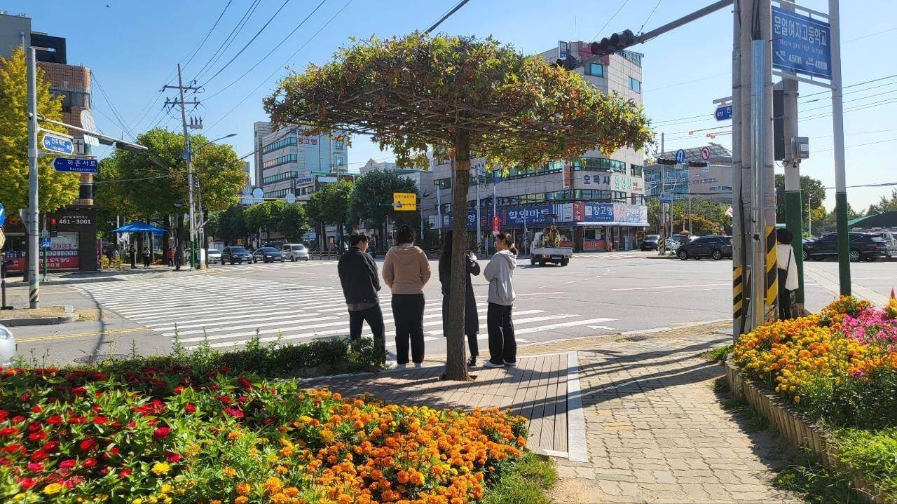 친환경 그늘목 쉼터 구룡사거리