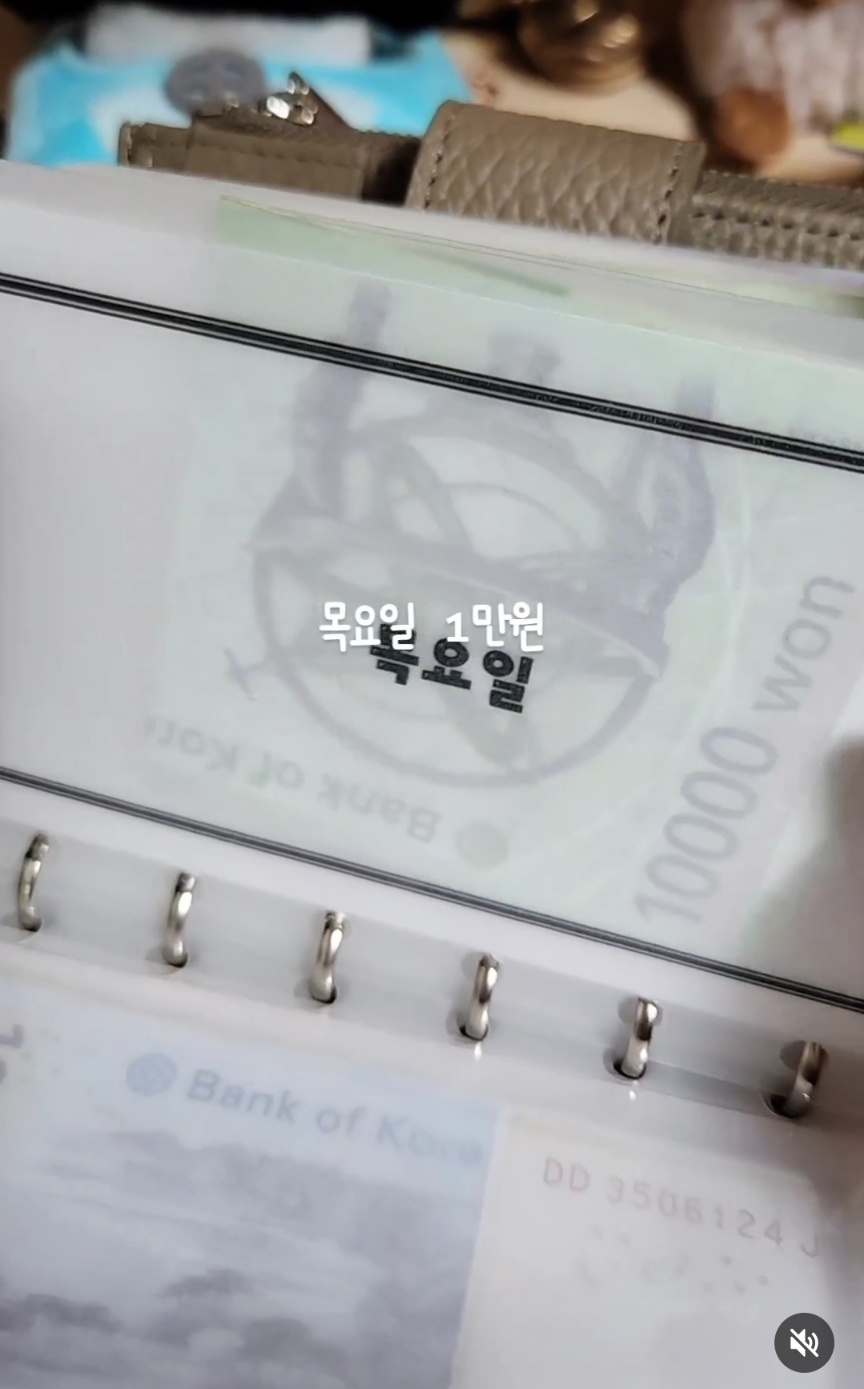 최근 현금 다이어리를 쓰기 시작한 경기 지역 거주 이모(42) 씨의 현금 다이어리. 이씨는 “요일마다 쓸 예산을 정해 둔다”고 했다.[독자 제공]