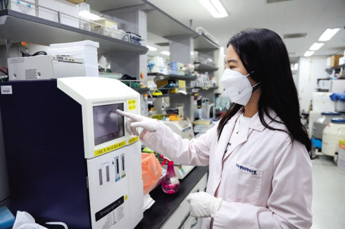 한국생명공학연구원 연구진이 유전자가위 기술을 활용한 연구를 수행하고 있다. [헤럴드DB]