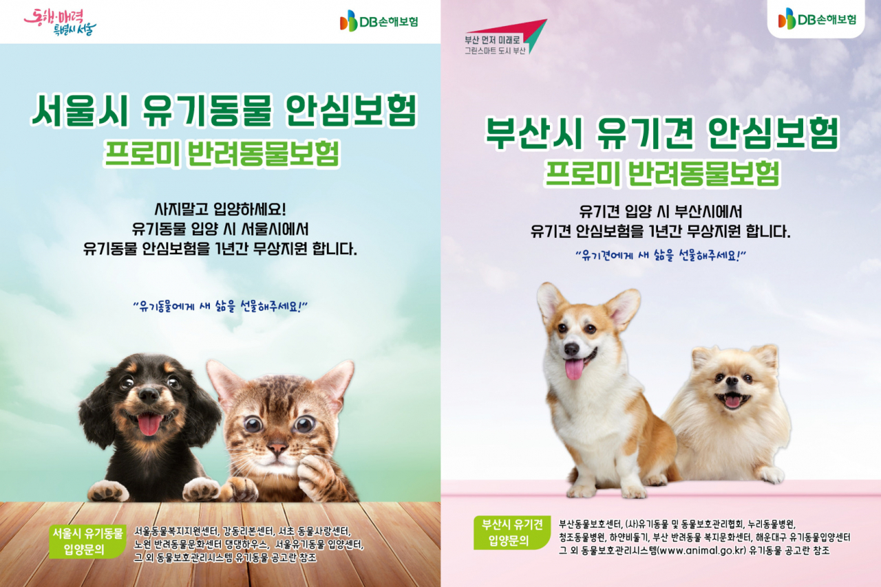 [DB손해보험 제공]