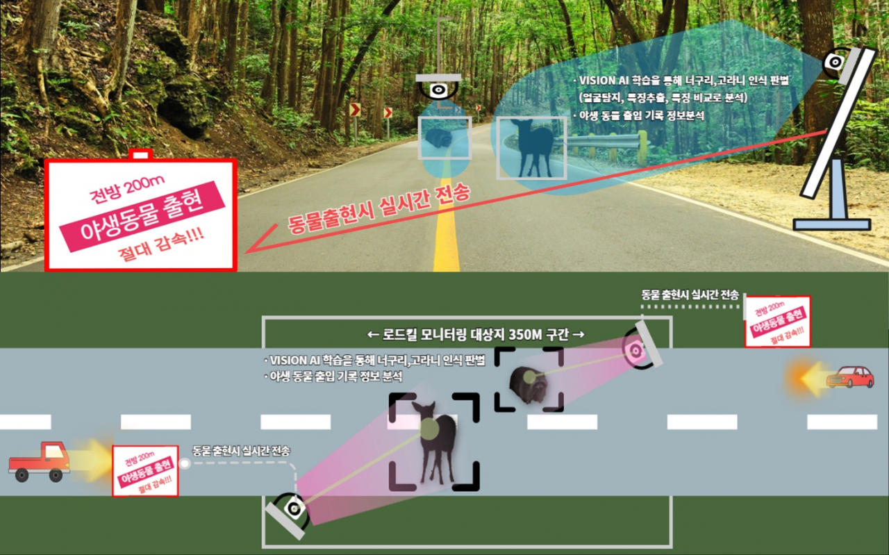영상인식 AI 기반의 로드킬 방지시스템 구조도. [포스코DX 제공]