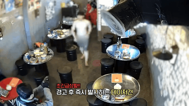 [경찰청 유튜브]