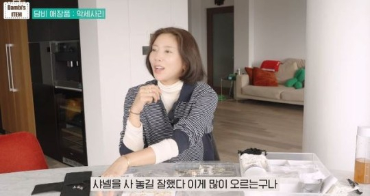 [유튜브 채널 '담비손']