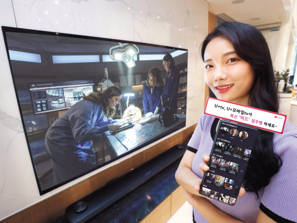 LG유플러스 관계자가 IPTV 서비스를 소개하고 있다. [LG유플러스 제공]