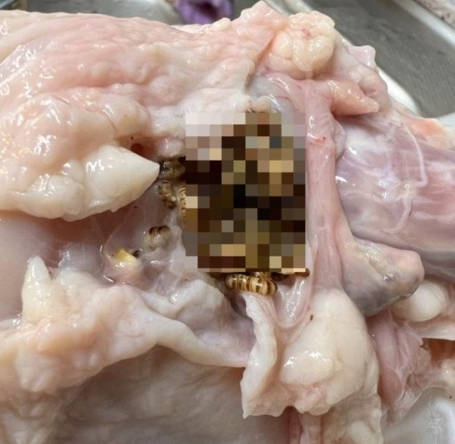 전북 정읍시에 위치한 하림 생산공장에 납품한 ‘하림 동물복지 통닭’에서 벌레가 대량 발견돼 정읍시와 방역 업체가 현장 조사에 나섰다. [온라인 커뮤니티]