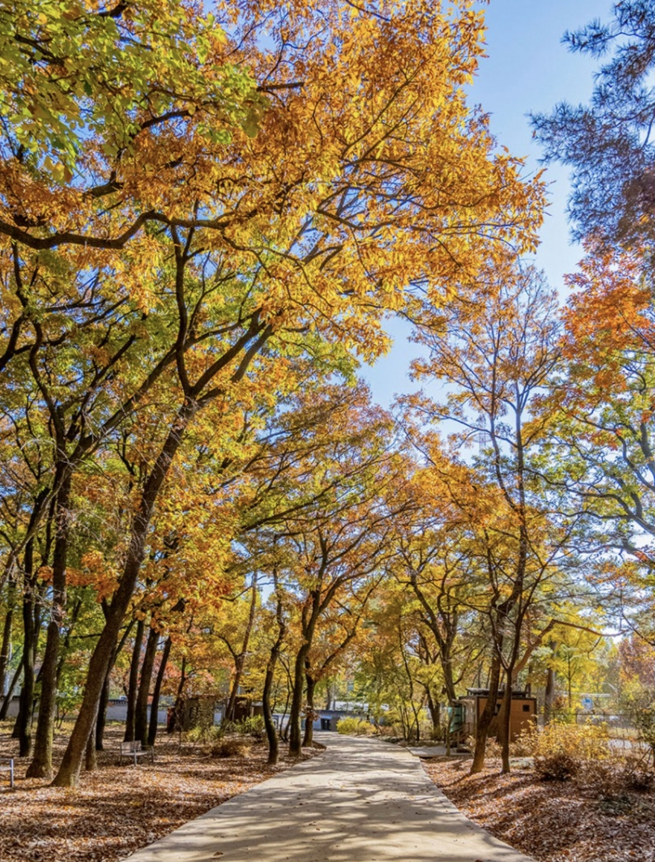 Walking trail in Taereung, Nowon-gu, northern Seoul (CHA)