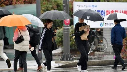 광주전남 7일까지 비