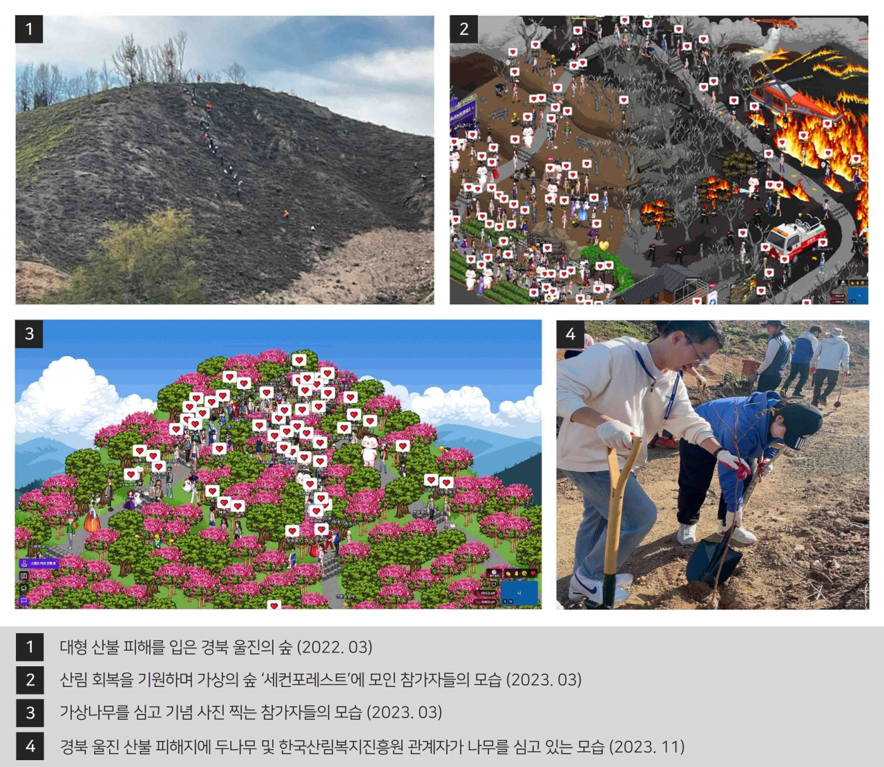 두나무에서 진행하는 세컨포레스트 캠페인을 통해 산불 피해지 산림 복원이 이루어지는 과정. [두나무 제공]
