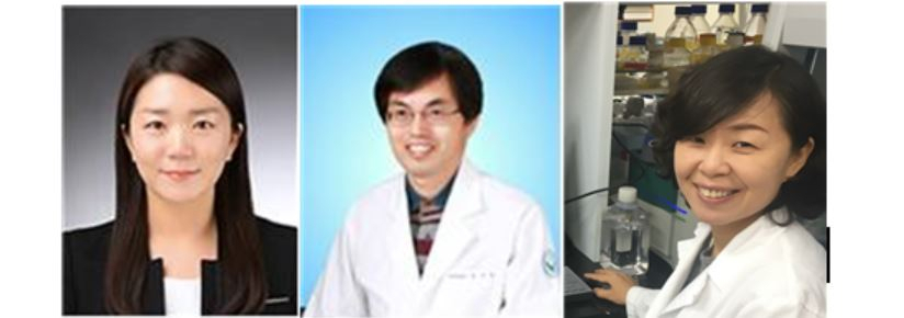 이번 연구를 수행한 연구진. 정혜종(왼쪽부터) KBSI 정혜종 책임연구원, 전북대 홍성출 교수, 김현진 SNJ Pharmaceutical 대표.[KBSI 제공]