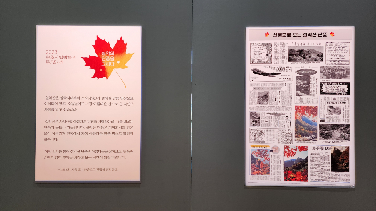 [속초시립박물관 제공]