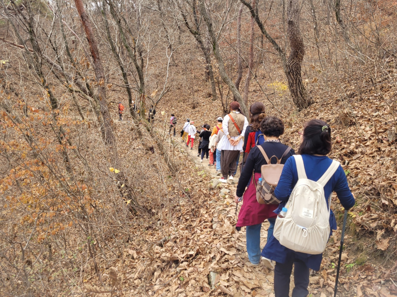 8일 산림청이 국가 숲길로 지정한 속리산둘레길. 이 길은 충북도(보은군, 괴산군), 경북도(상주시, 문경시)를 아우르며 총 208.6km에 달한다.