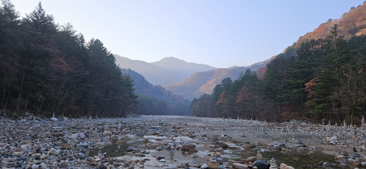 백담사 앞 백담계곡. 누가 쌓았는지 알 수 없는 돌탑이 수없이 솟아 있다.