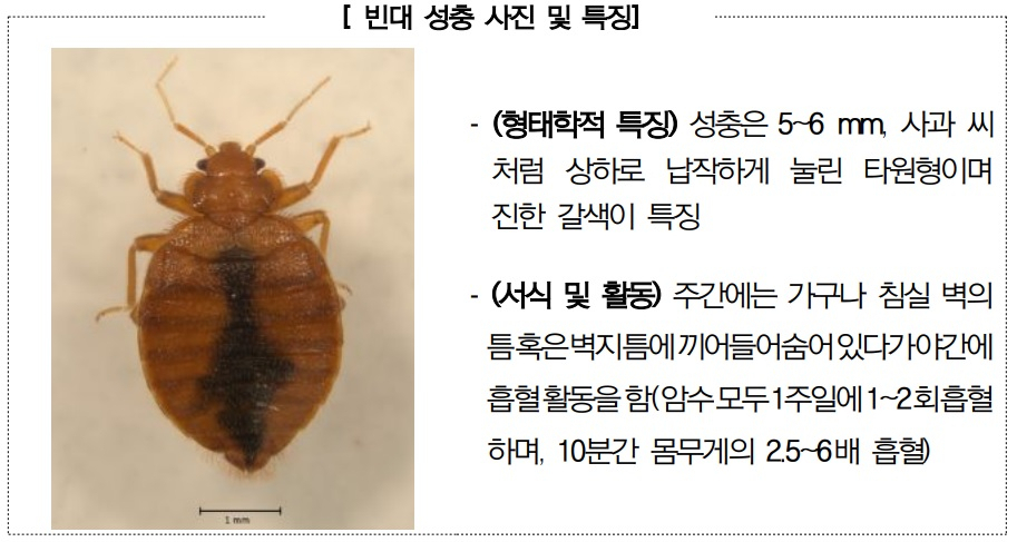 [질병관리청 자료]
