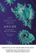 눈부신 심연/헬렌 스케일스 지음/조은영 옮김/시공사