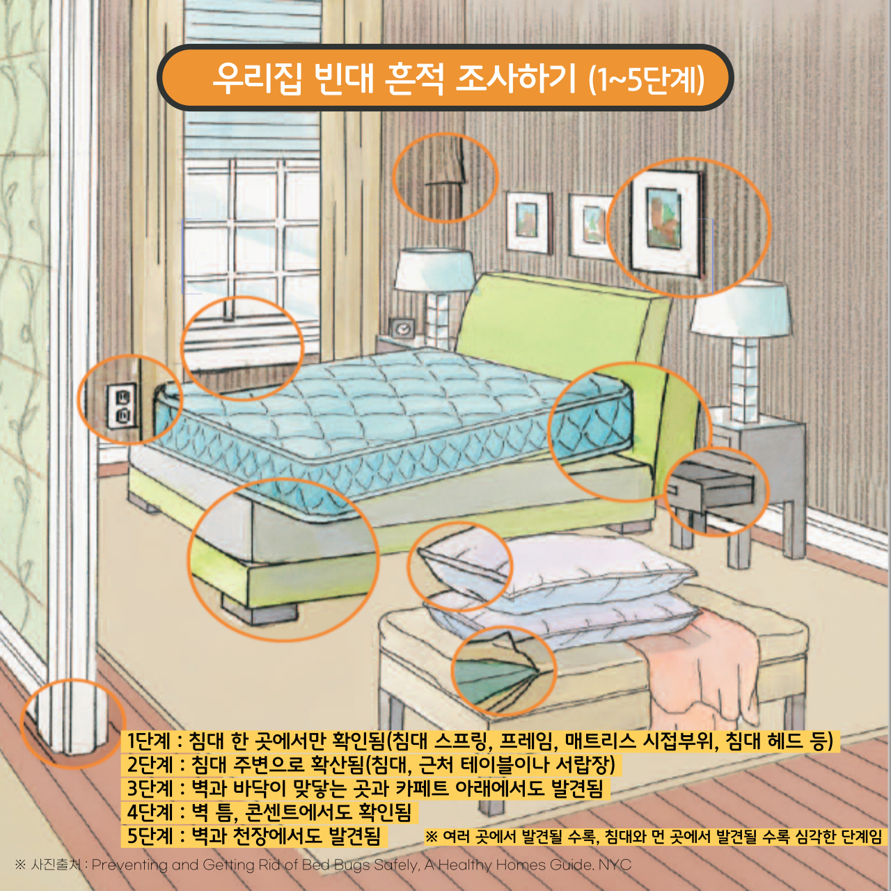 서울시는 최근 전국에서 빈대가 잇따라 출현하면서 불안감이 커져 전국 최초로 빈대신고센터를 운영한다고 10일 밝혔다. 사진은 빈대 흔적 5단계. [서울시 제공]