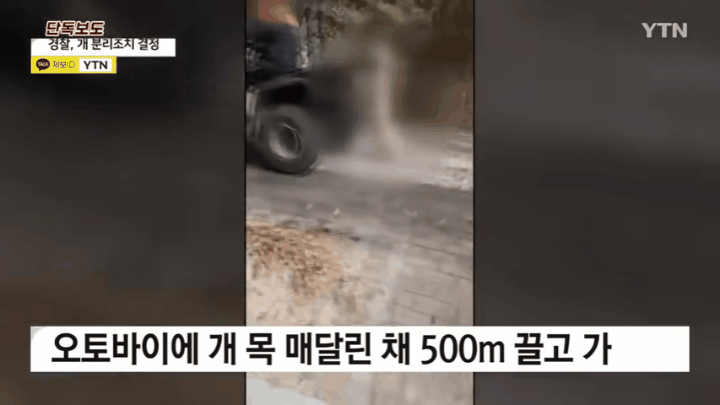 9일 대구에서 오토바이에 개가 매달려 끌려가는 모습 [YTN 캡처]