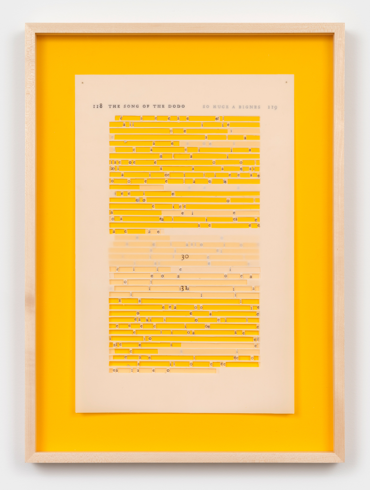 "So Huge a Bigness (David Quammen) II" by Jane Benson (Courtesy of Gallery Shilla)