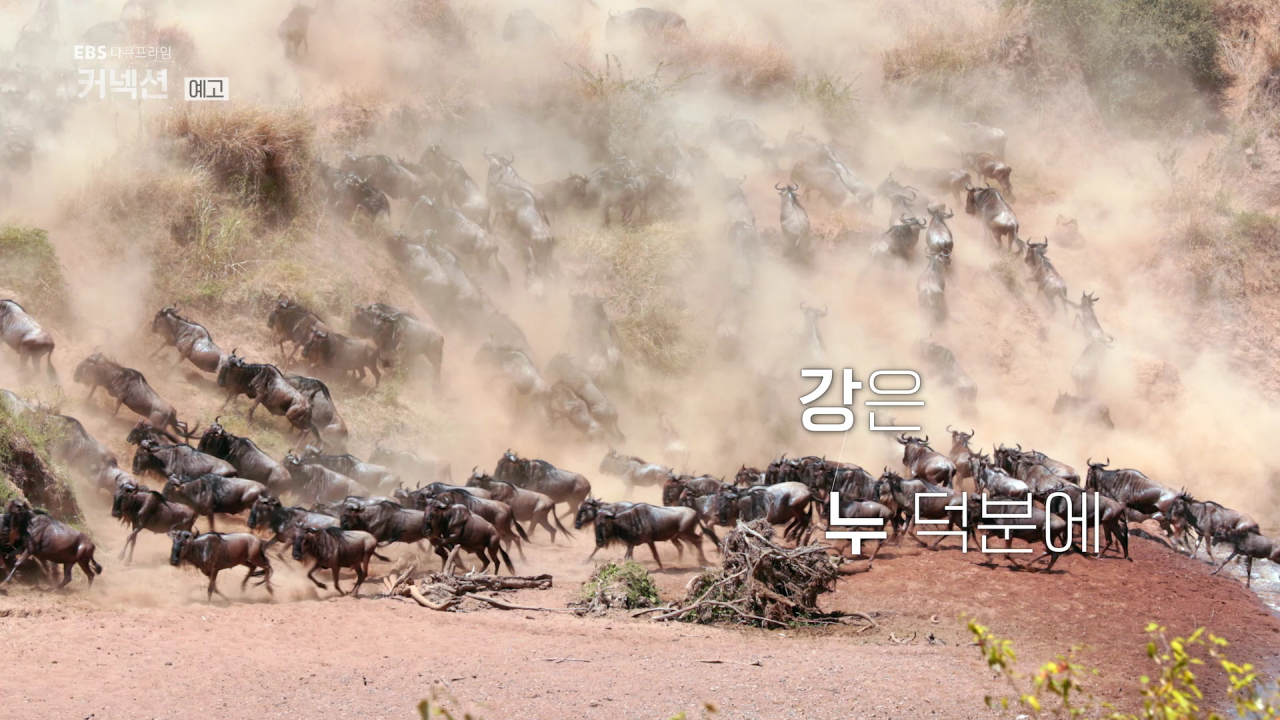 A still from the trailer of EBS documentary series "Connection" (EBS)