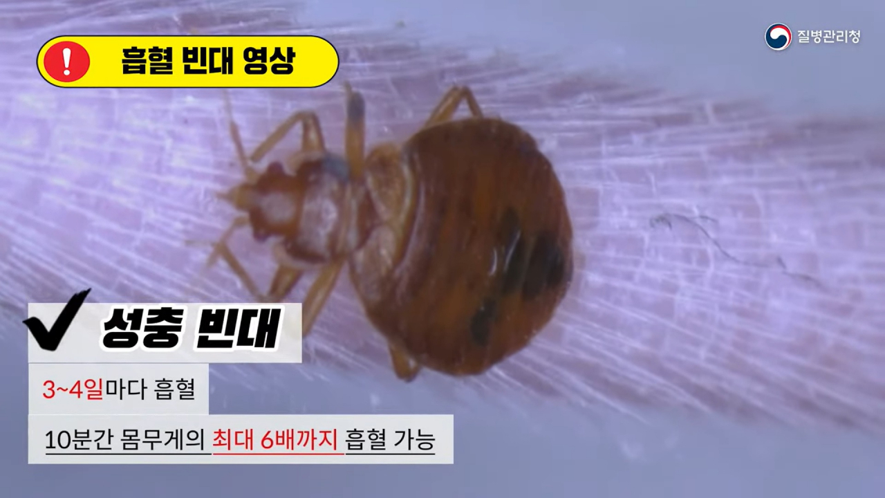 [질병관리청]