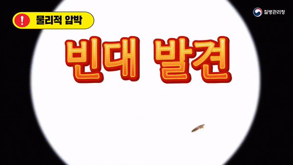 [질병관리청 유튜브 갈무리]